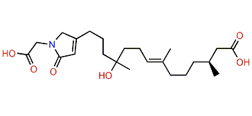 8-Hydroxyircinialactam G